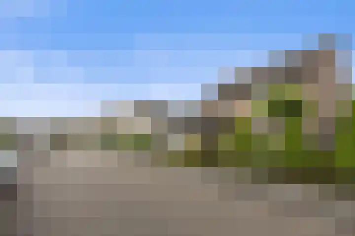 Foekjesteech 25 Langweer thumbnail 74