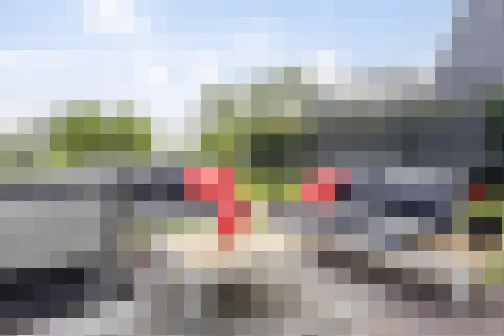 Foekjesteech 25 Langweer thumbnail 75