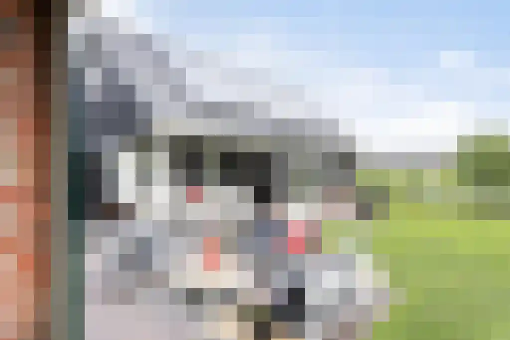 Foekjesteech 25 Langweer thumbnail 77