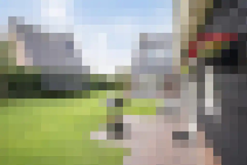 Foekjesteech 25 Langweer thumbnail 80