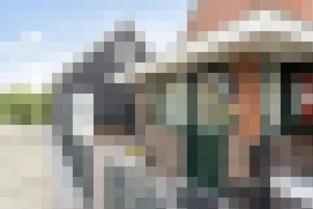 Foekjesteech 25 Langweer thumbnail 85