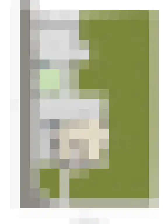 Foekjesteech 25 Langweer thumbnail 87