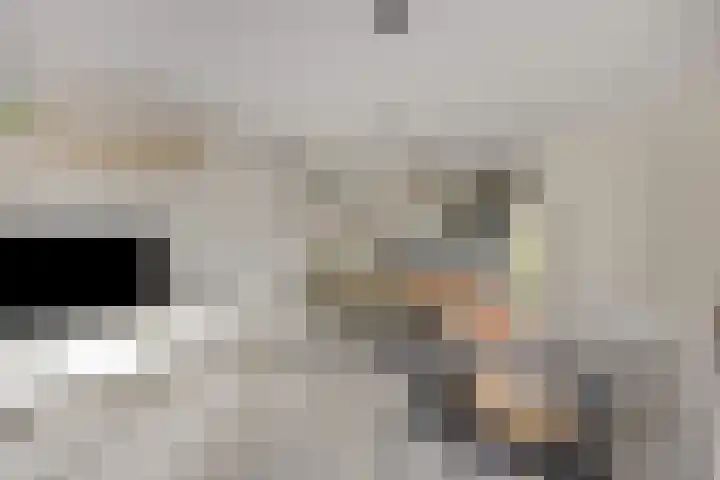 Foelie 50 Numansdorp thumbnail 10