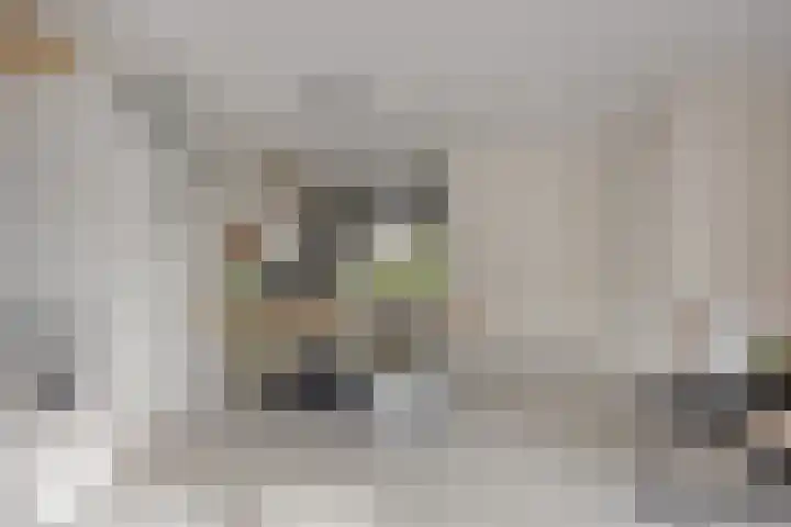 Foelie 50 Numansdorp thumbnail 11
