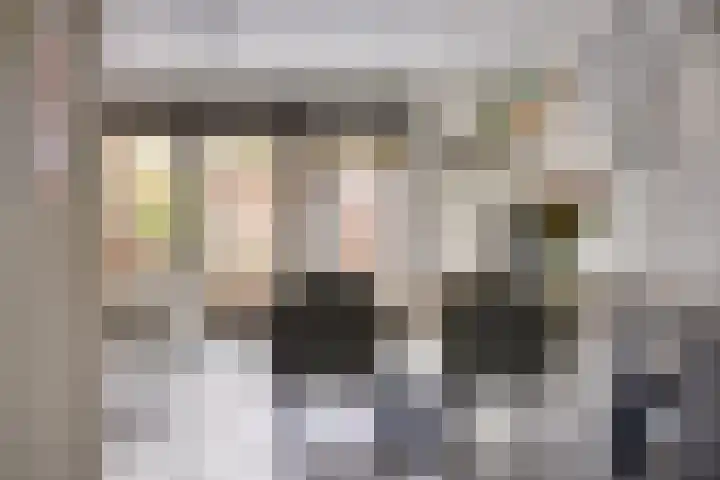 Foelie 50 Numansdorp thumbnail 12