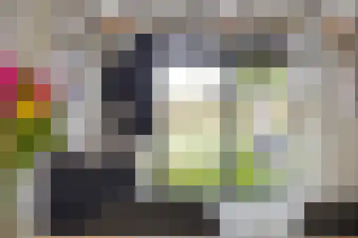 Foelie 50 Numansdorp thumbnail 15