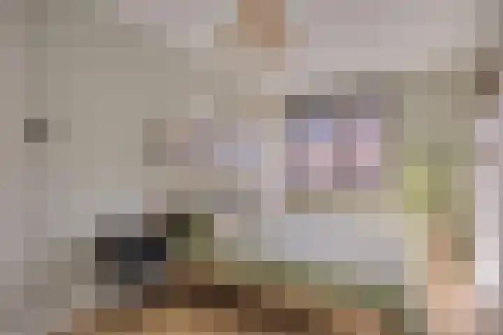 Foelie 50 Numansdorp thumbnail 17