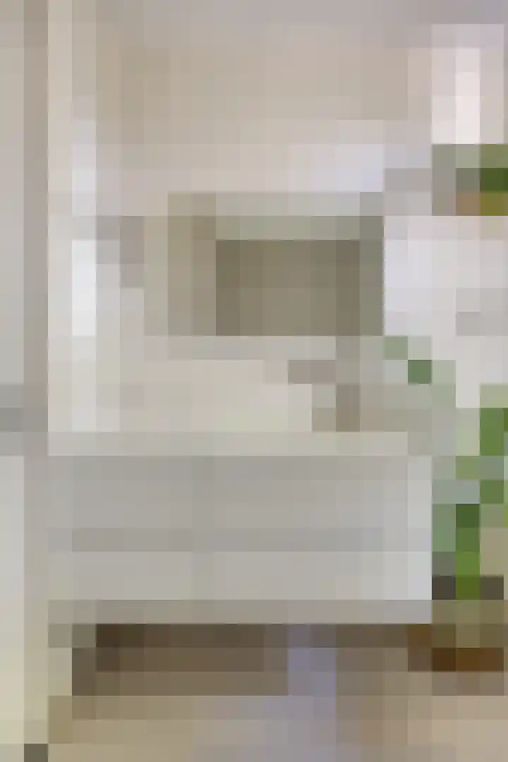 Foelie 50 Numansdorp thumbnail 19
