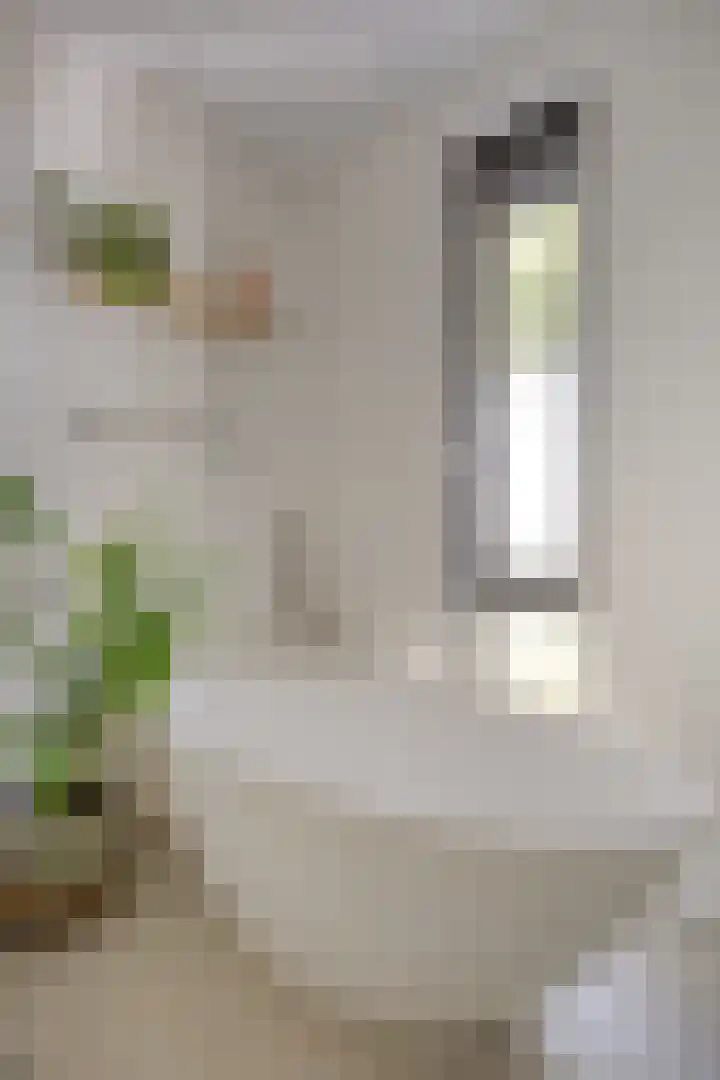 Foelie 50 Numansdorp thumbnail 20