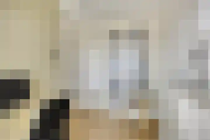Foelie 50 Numansdorp thumbnail 22
