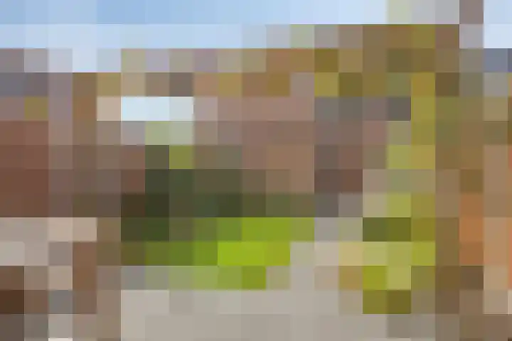 Foelie 50 Numansdorp thumbnail 27