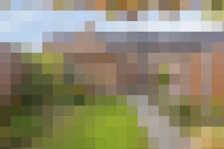 Foelie 50 Numansdorp thumbnail 28