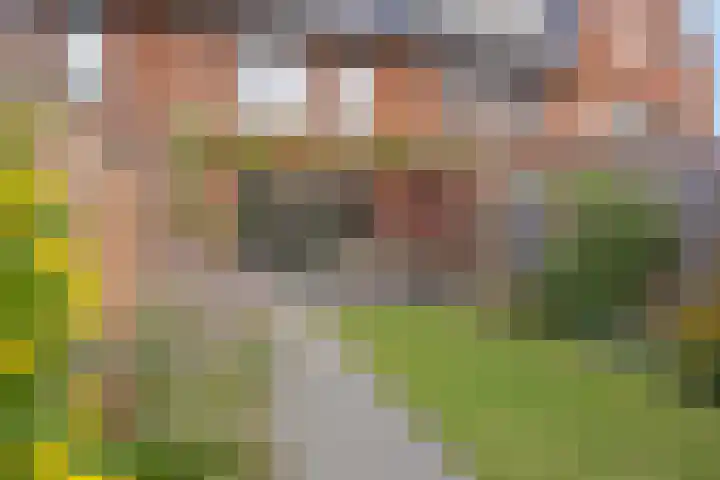 Foelie 50 Numansdorp thumbnail 29