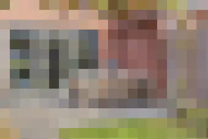 Foelie 50 Numansdorp thumbnail 30