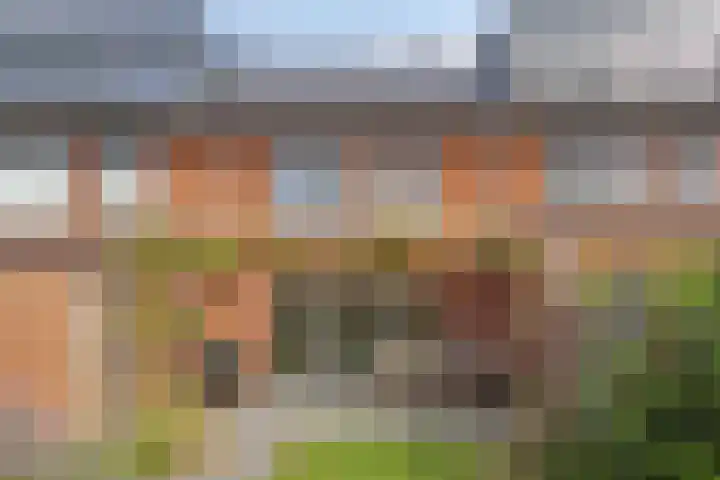 Foelie 50 Numansdorp thumbnail 31