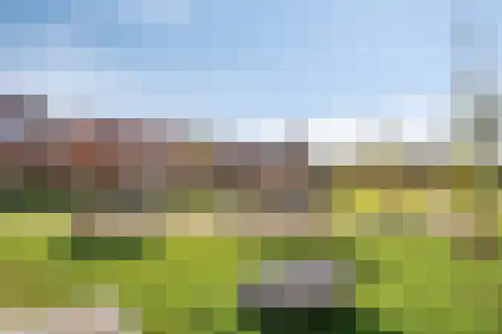 Foelie 50 Numansdorp thumbnail 32