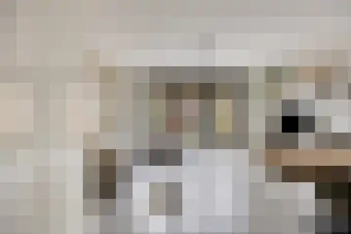 Foelie 50 Numansdorp thumbnail 4