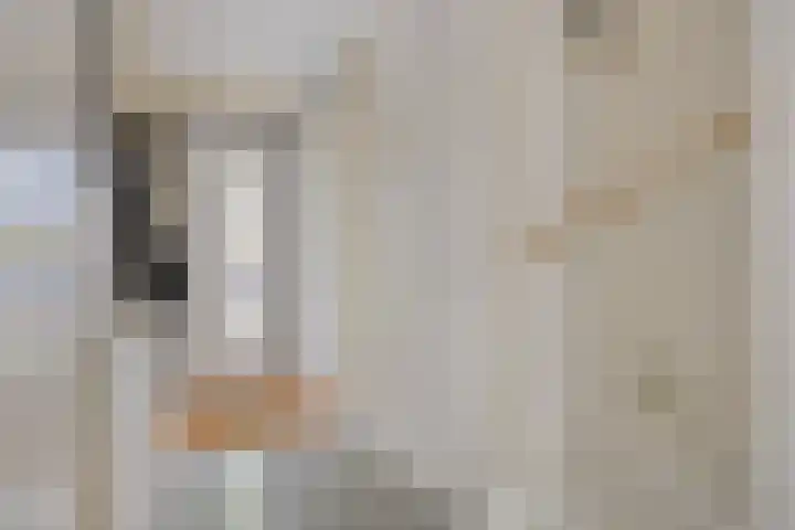 Foelie 50 Numansdorp thumbnail 5