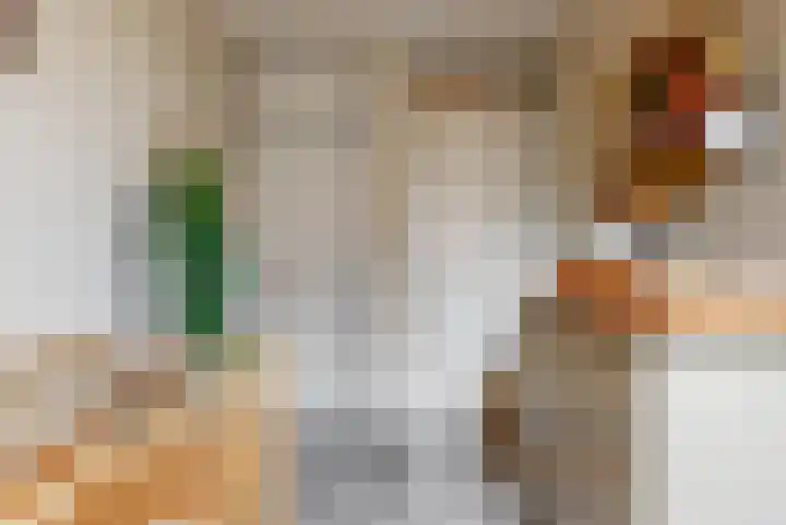 Foeliehof 24 Voorhout thumbnail 22