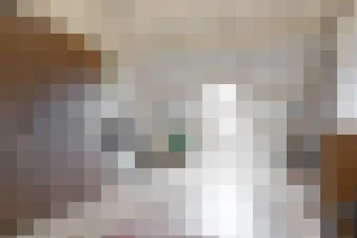 Foeliehof 24 Voorhout thumbnail 32