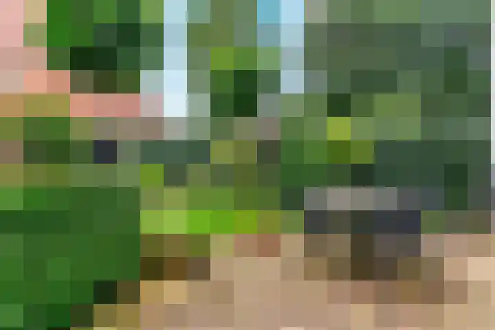 Foeliehof 24 Voorhout thumbnail 36