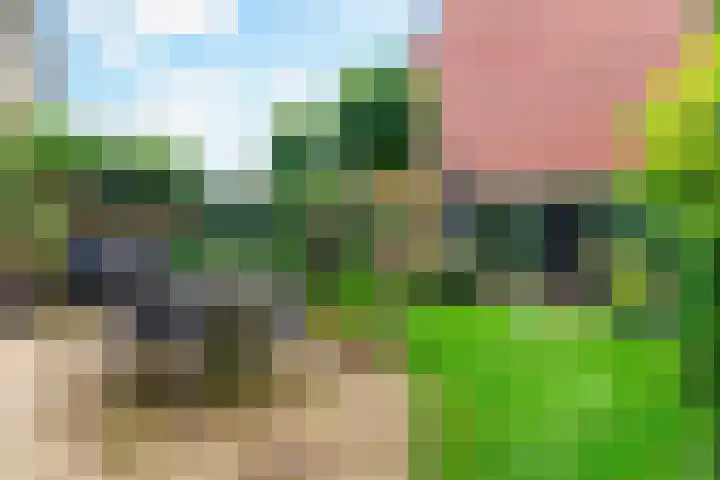 Foeliehof 24 Voorhout thumbnail 37