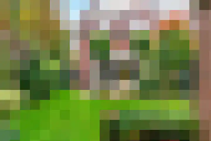 Foeliehof 24 Voorhout thumbnail 38