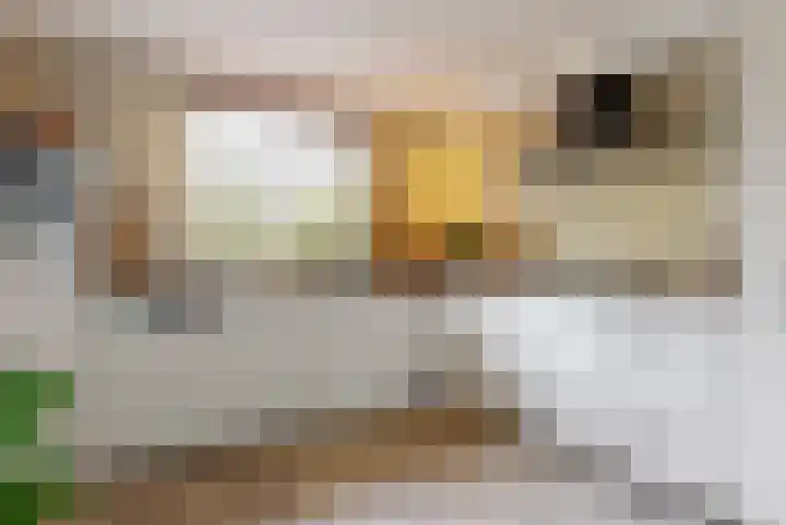 Foeliehof 24 Voorhout thumbnail 4