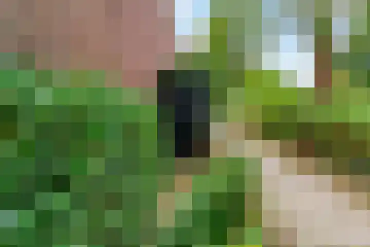 Foeliehof 24 Voorhout thumbnail 41