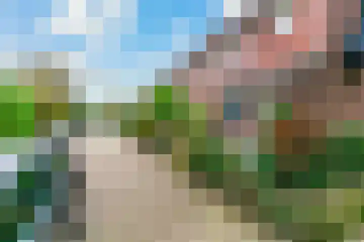 Foeliehof 24 Voorhout thumbnail 43