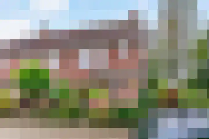 Foeliehof 24 Voorhout thumbnail 6