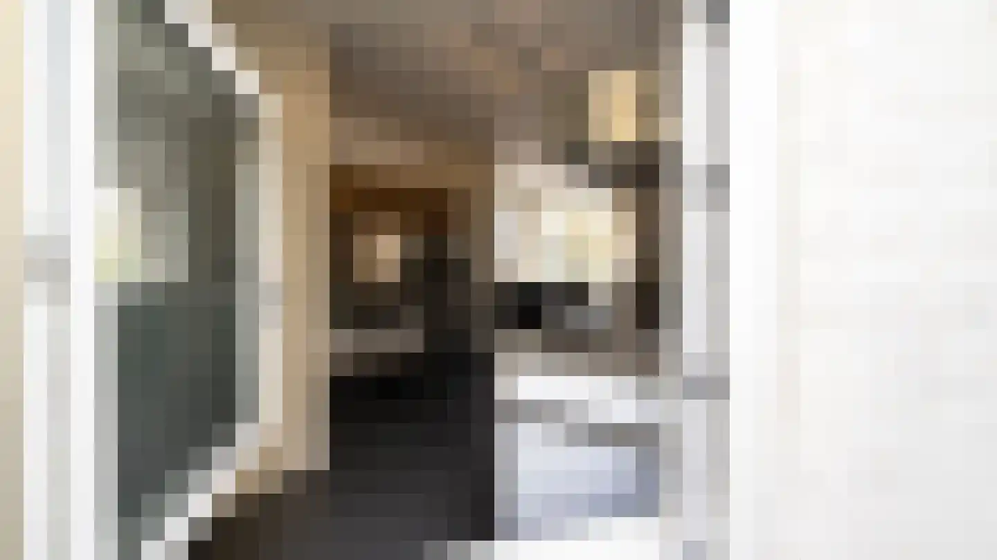 Foeliestraat 10 2 Amsterdam thumbnail 21