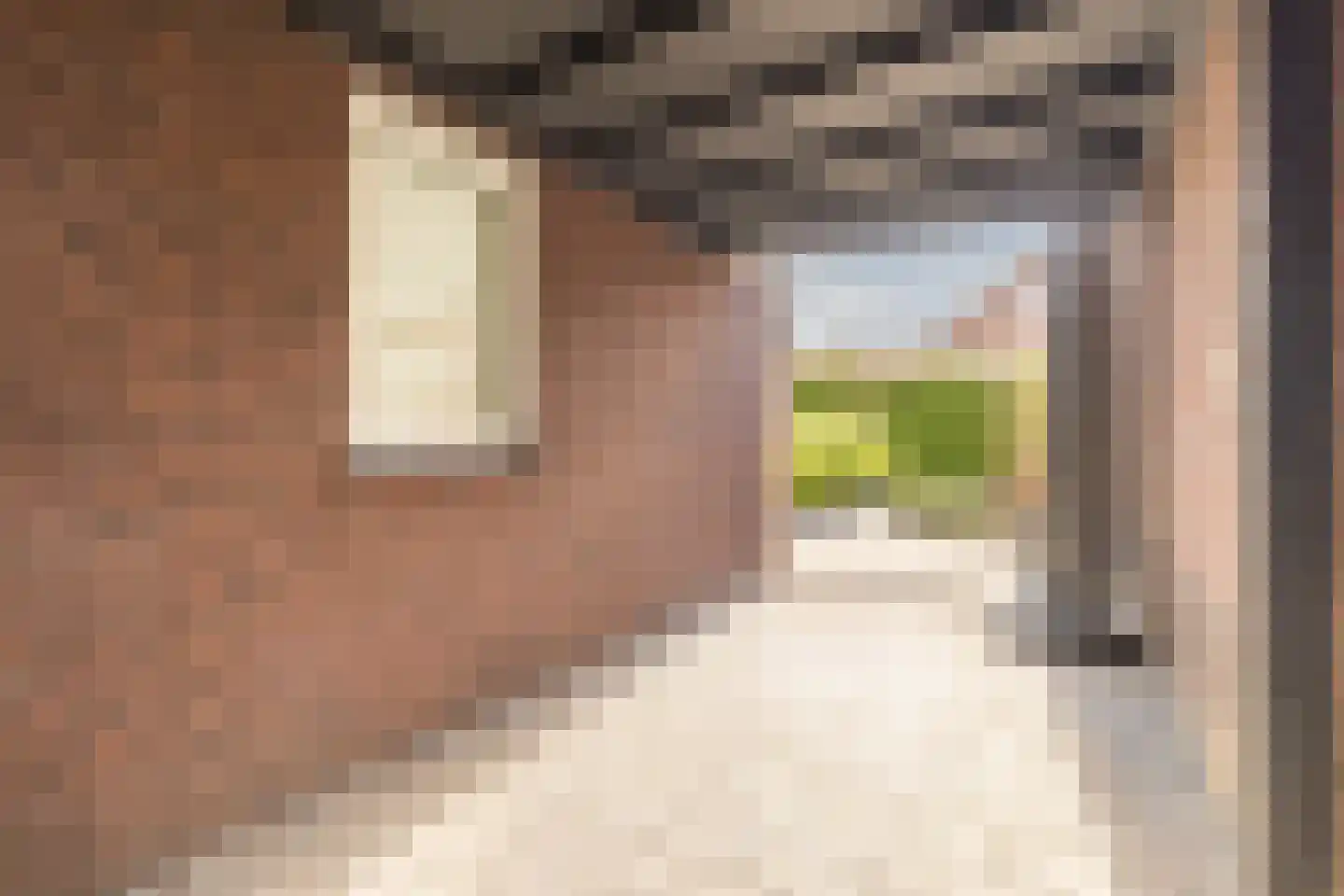 Foelieweg 5 Utrecht thumbnail 11