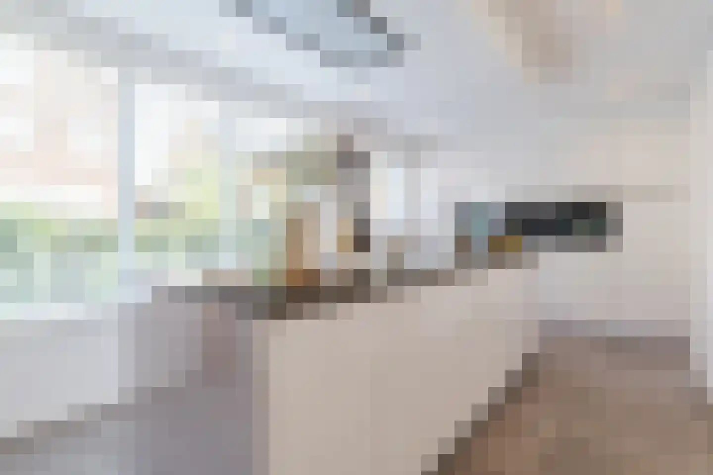 Foelieweg 5 Utrecht thumbnail 16
