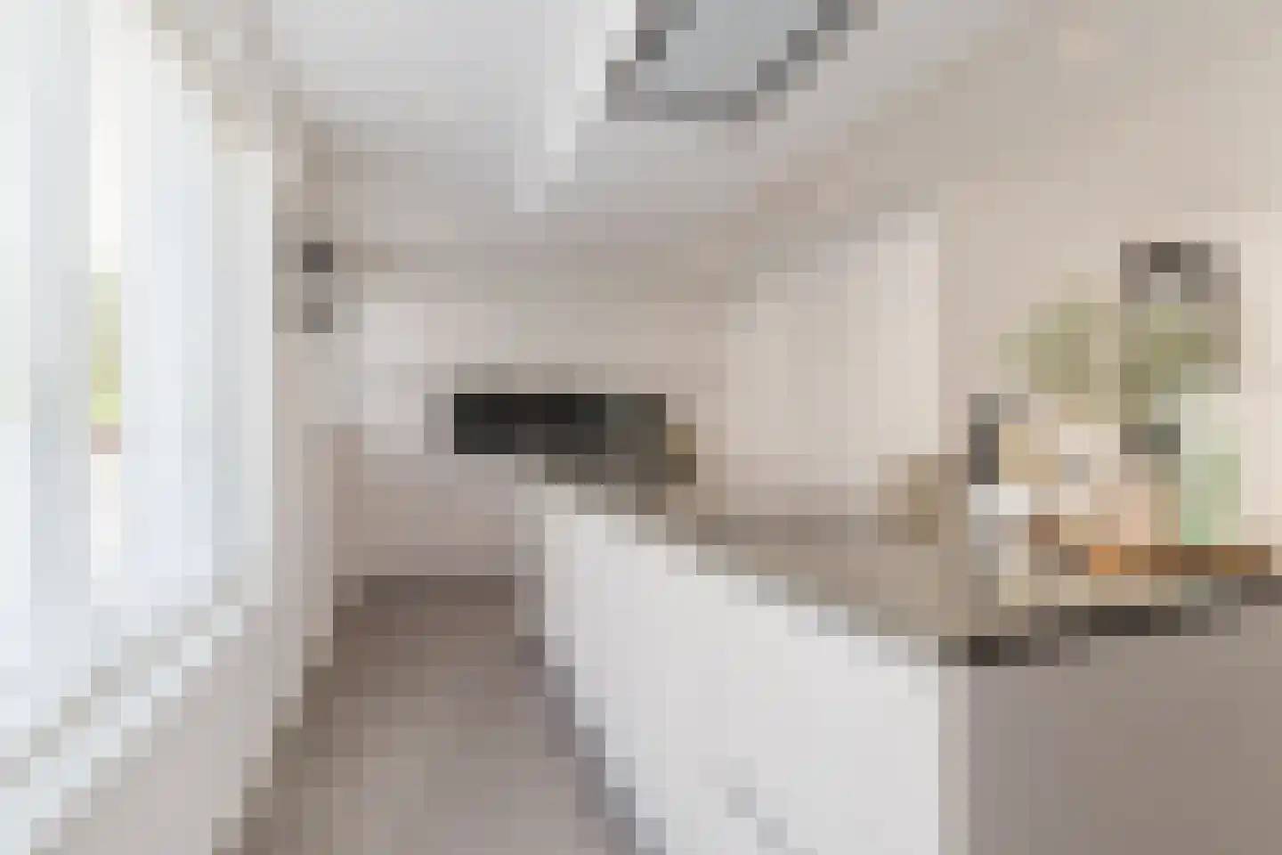 Foelieweg 5 Utrecht thumbnail 17