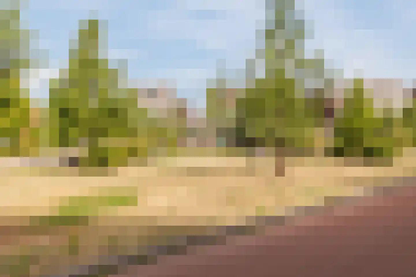 Foelieweg 5 Utrecht thumbnail 42