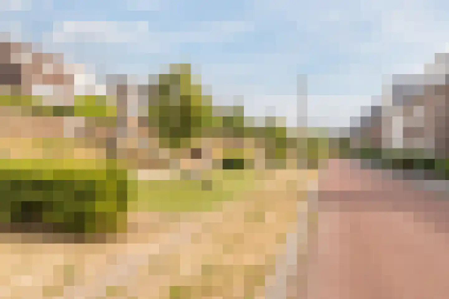 Foelieweg 5 Utrecht thumbnail 43