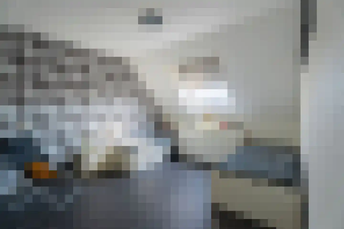 Foeliezoom 28 Voorhout thumbnail 22