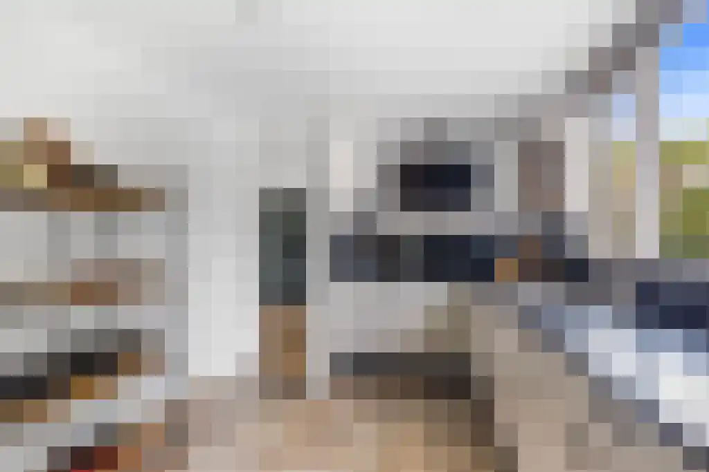 Foet 5 Sneek thumbnail 14