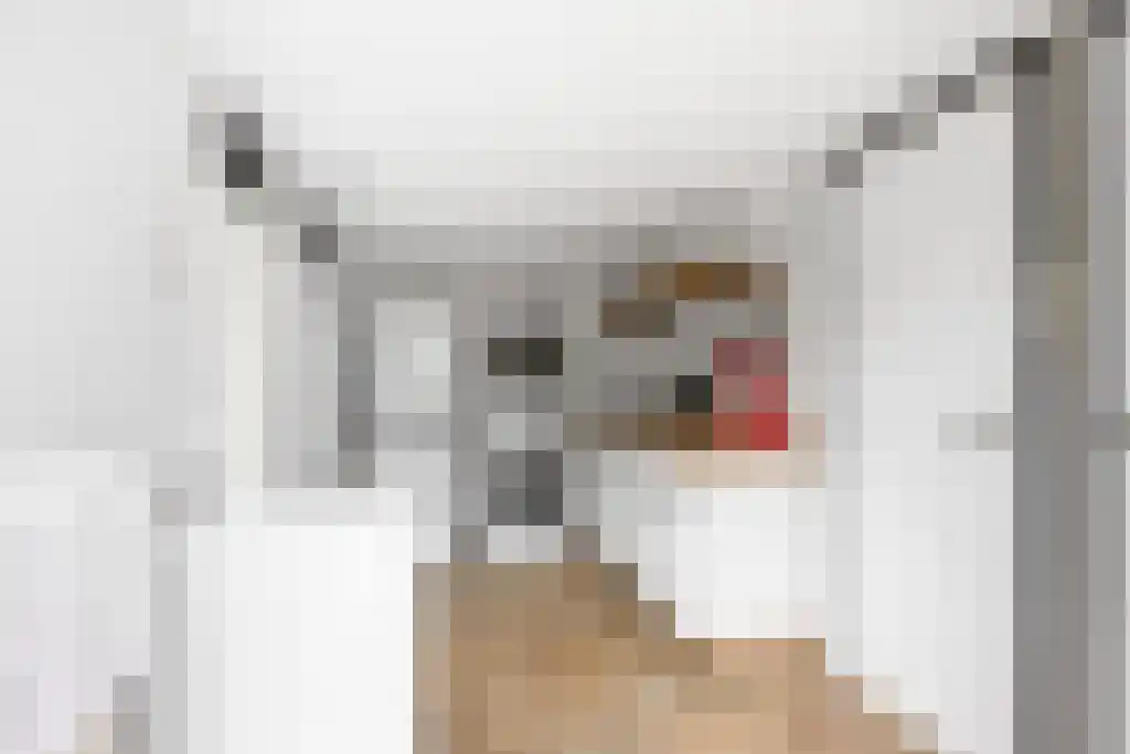 Foet 5 Sneek thumbnail 17