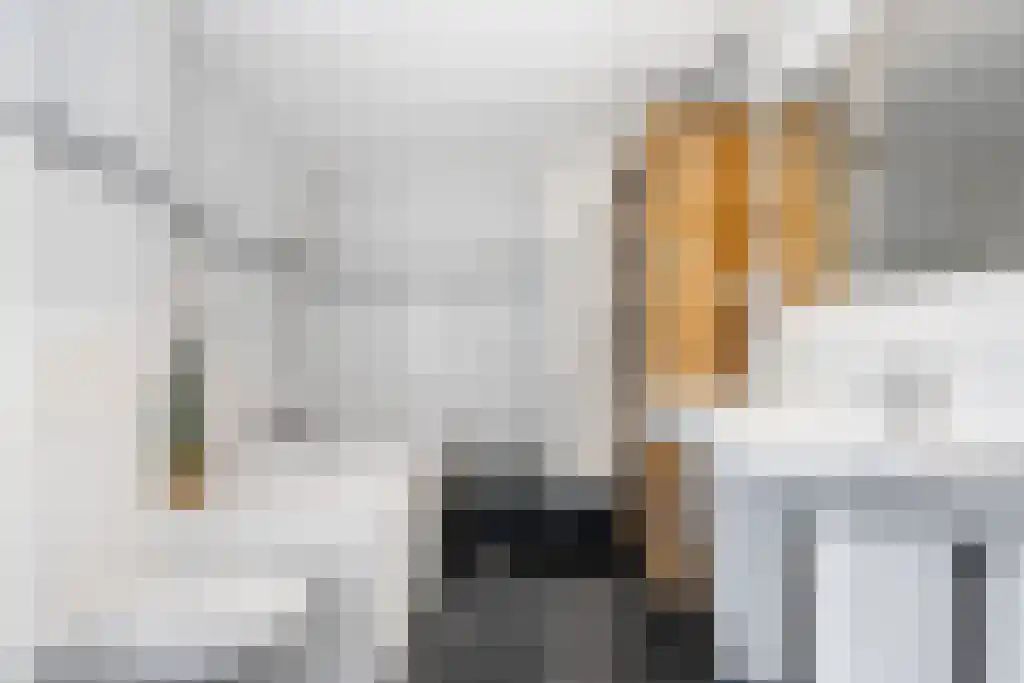 Foet 5 Sneek thumbnail 25