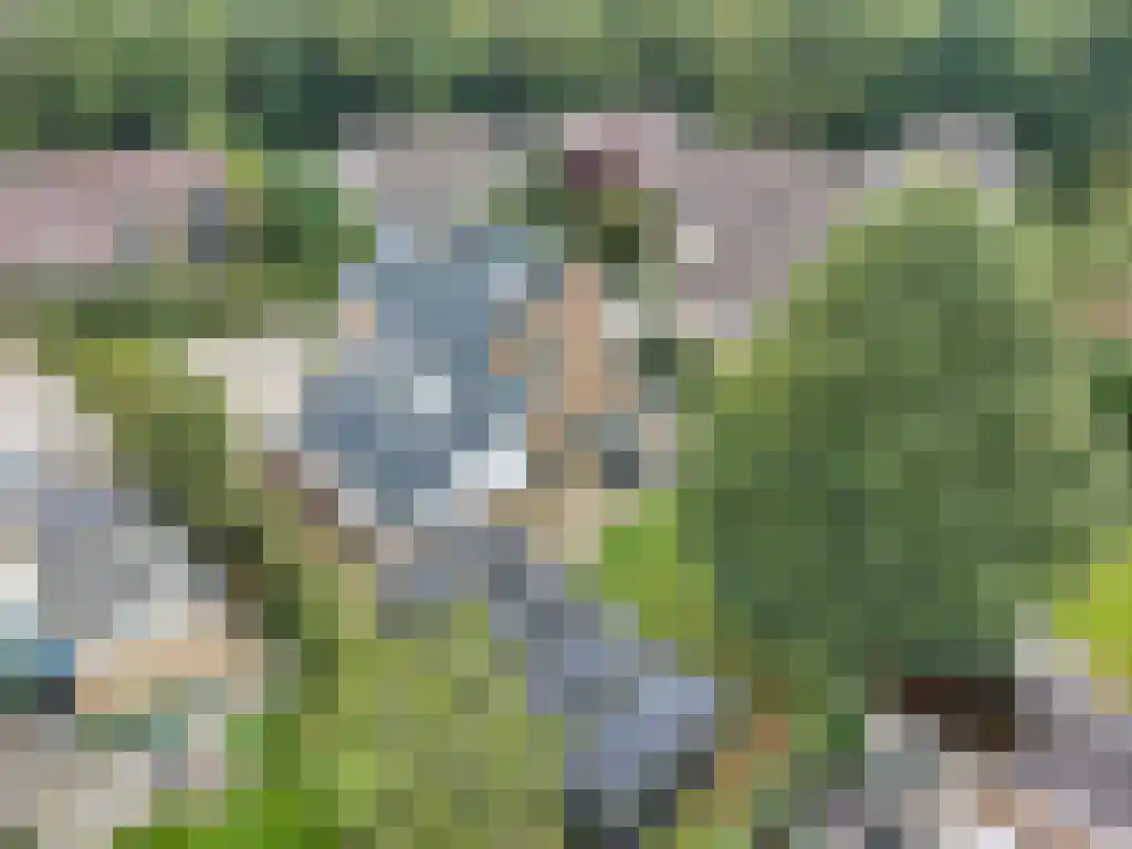 Foet 5 Sneek foto 3