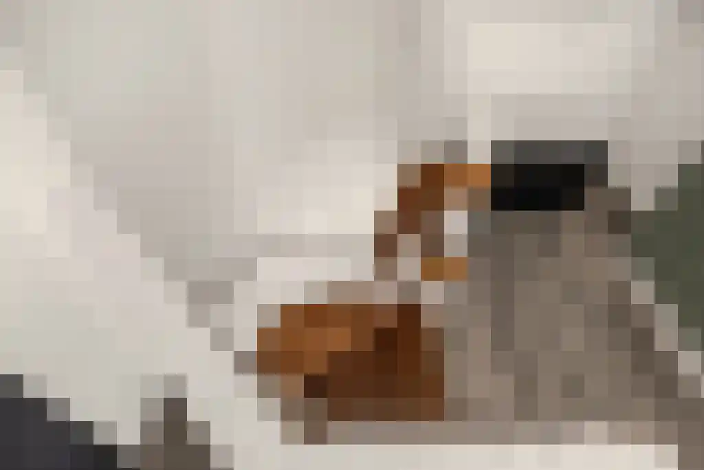 Foet 5 Sneek thumbnail 35