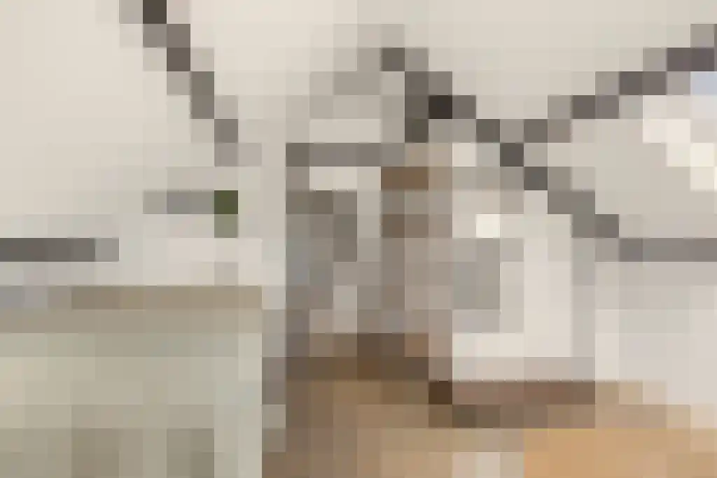 Foet 5 Sneek thumbnail 36
