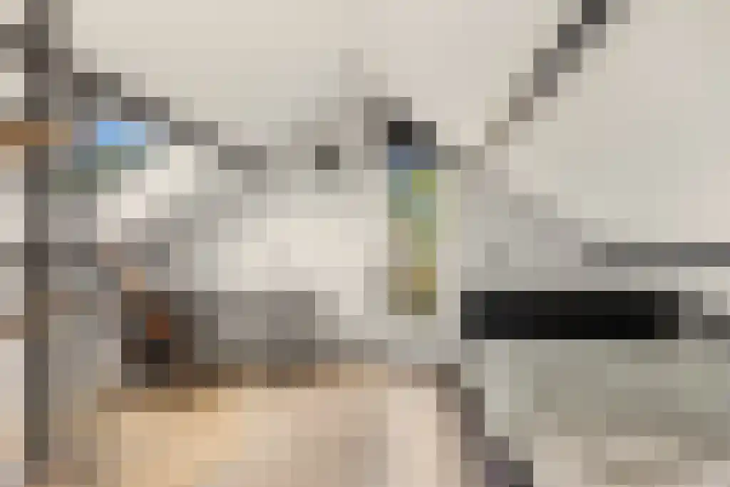 Foet 5 Sneek thumbnail 37