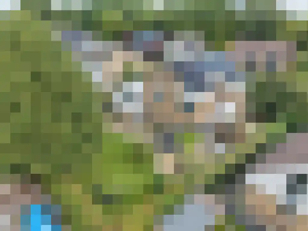 Foet 5 Sneek thumbnail 4