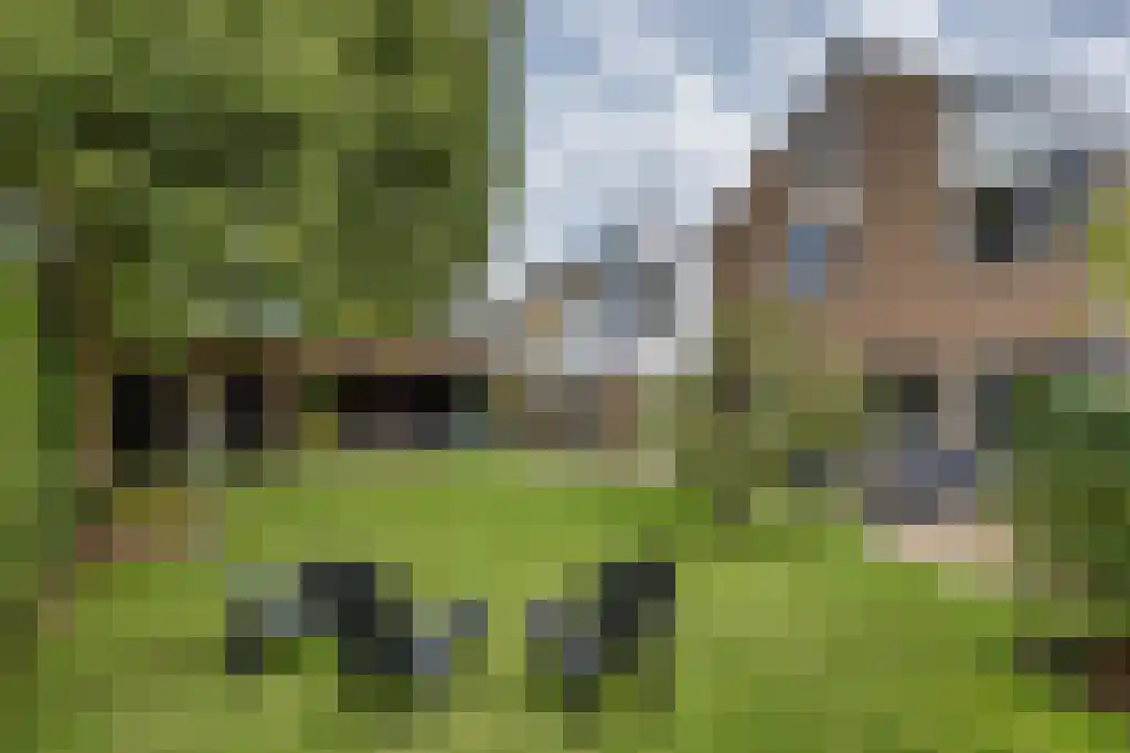 Foet 5 Sneek thumbnail 40