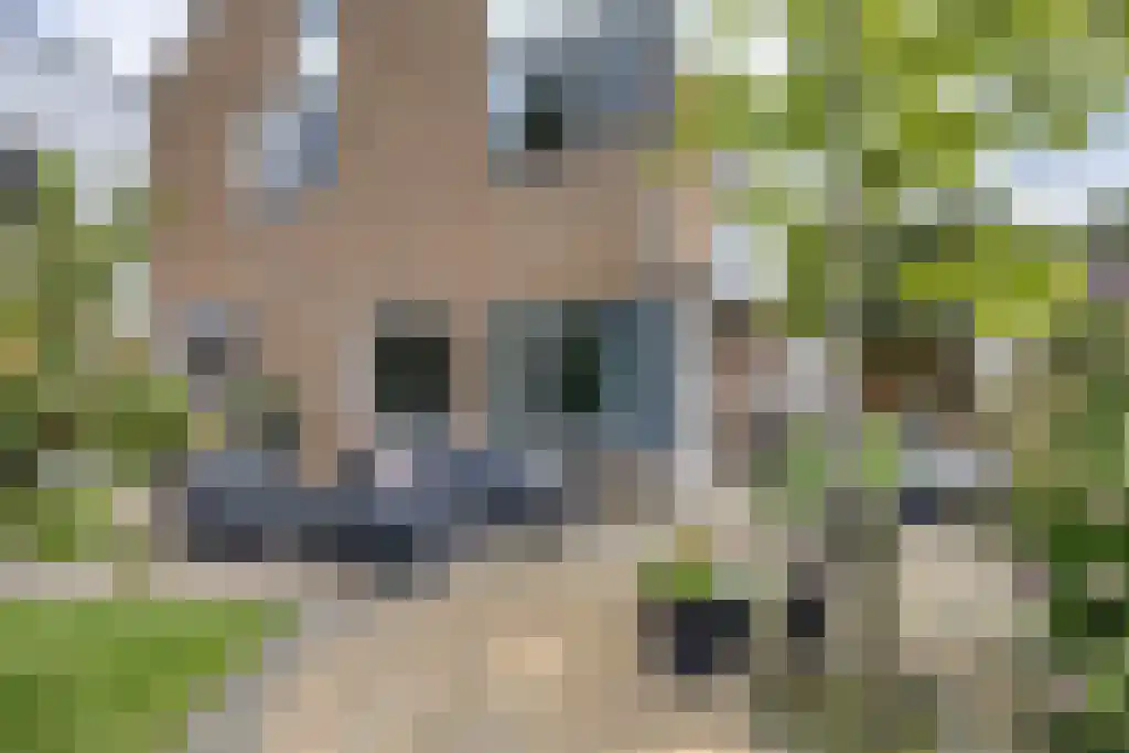 Foet 5 Sneek thumbnail 46