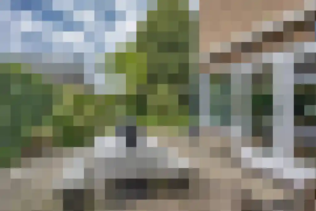 Foet 5 Sneek thumbnail 47