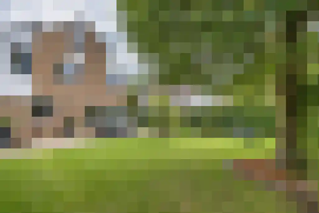 Foet 5 Sneek thumbnail 49